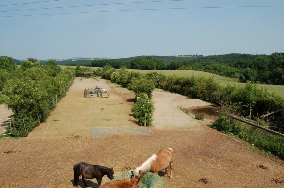 ..MIT BLICK AUF DIE PFERDEKOPPEL Bauernhaus Roes