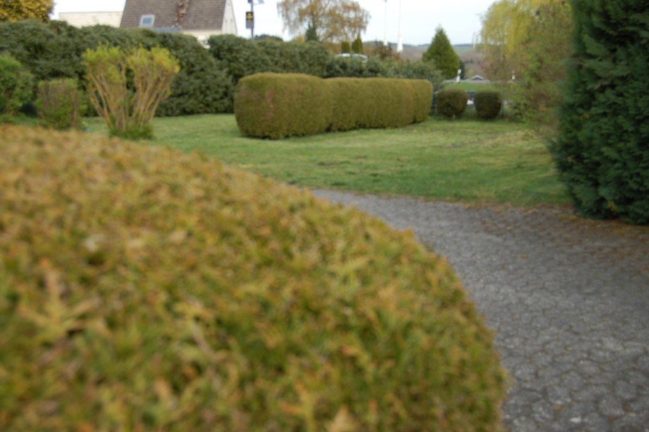 ..IHR GARTEN ZUM.. Einfamilienhaus Hirten - Kreuznick