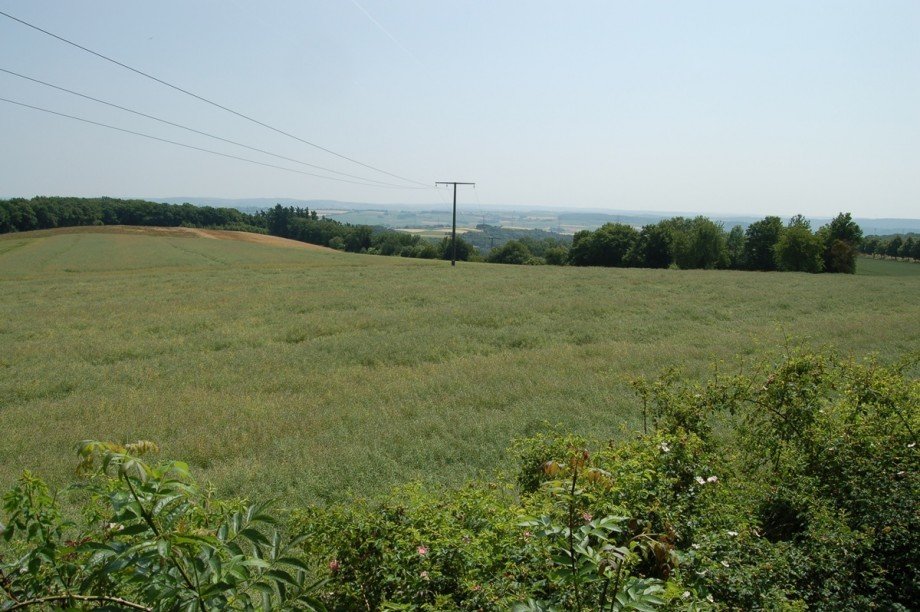 ..UND EINER.. Bauernhaus Roes