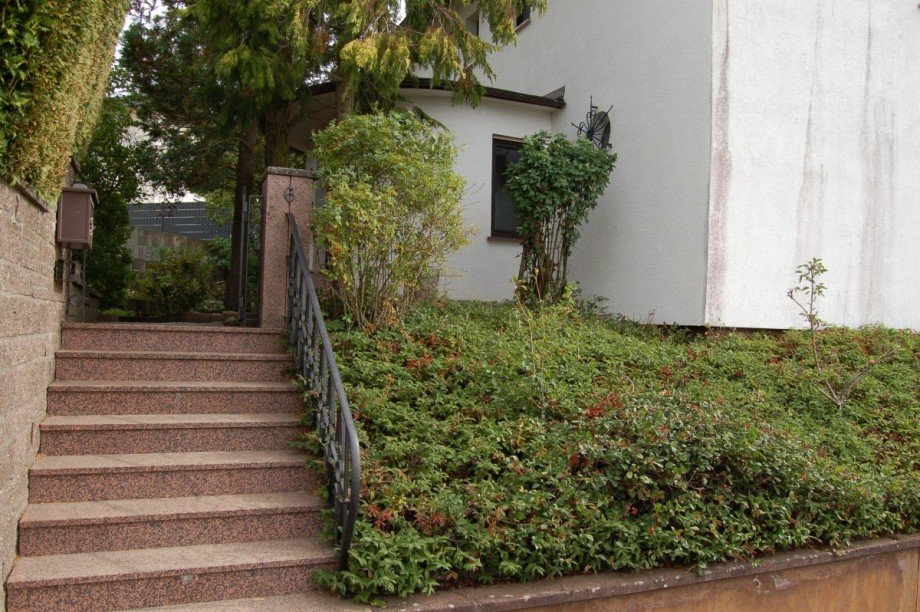 ..TREPPE ZUM WOHNHAUS Einfamilienhaus Kaisersesch