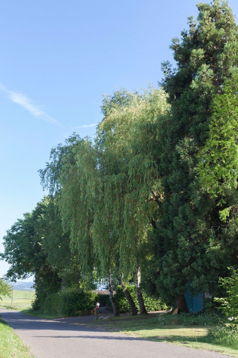 ..ANFAHRT ZUM HAUS Einfamilienhaus Landkern