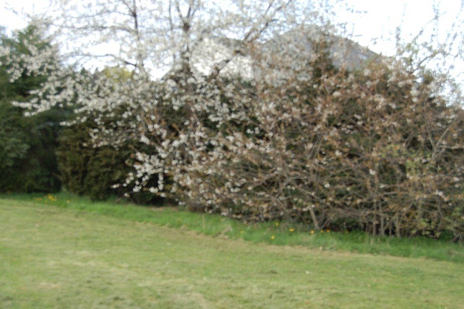 ..AUSRUHEN u. FEIERN Einfamilienhaus Hirten - Kreuznick