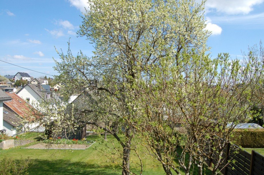 ..HERRLICHEM AUSBLICK Einfamilienhaus B�chel