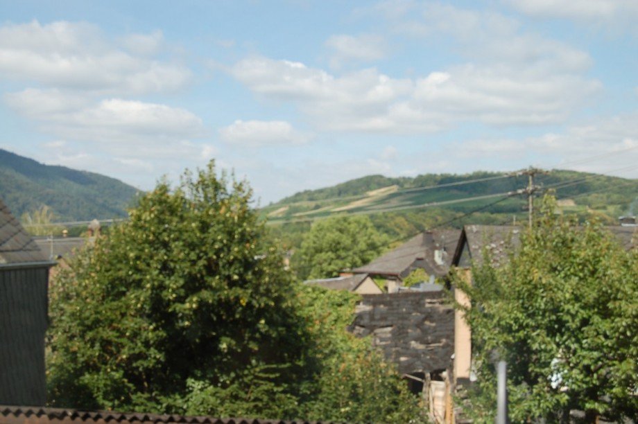 ..UND BLICK IN DIE WEINBERGE Einfamilienhaus Senheim