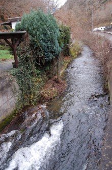 ..WILDEN ENDERT --V E R K A U F T--  AN DER WILDEN ENDERT - BUNGALOW IN NATURLAGE - NAHE DER MOSELSTADT COCHEM 