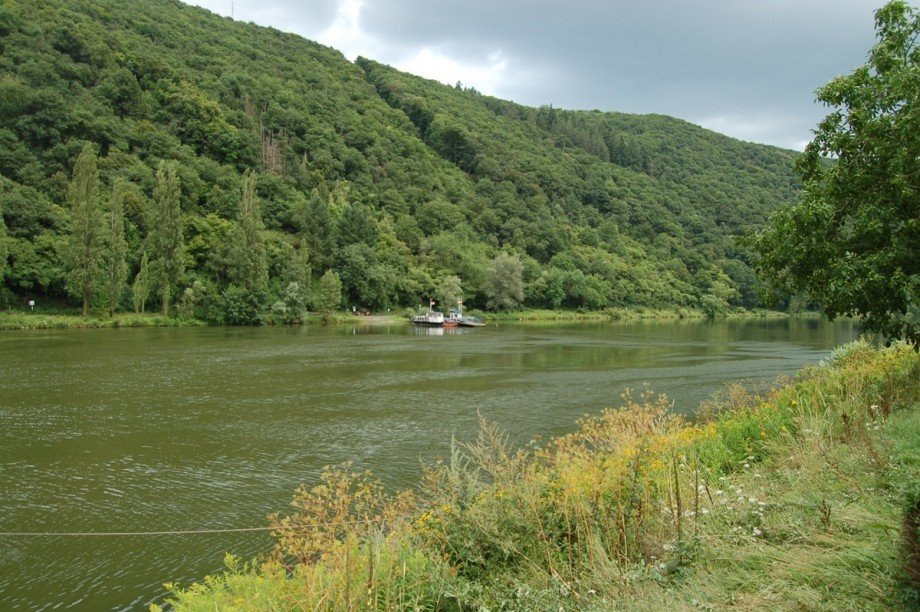 ..WOHNEN AN DER MOSEL Etagenwohnung Klotten