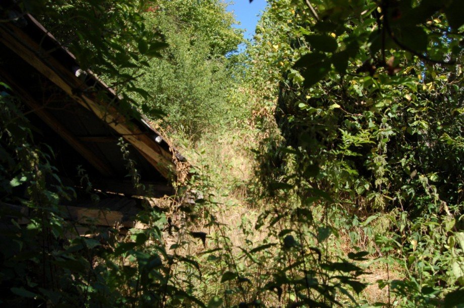 ..ZUM GARTEN Einfamilienhaus Kaisersesch