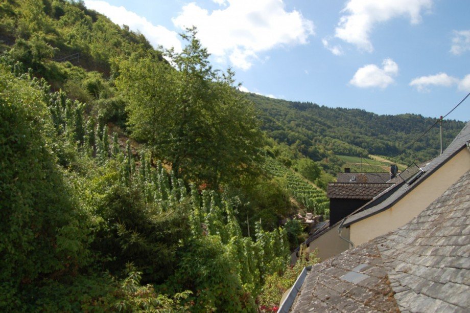 ..SCH�NE.. Einfamilienhaus Senheim