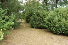 ..GESTALTEN.. --V E R K A U F T-- HAUS MIT VIEL FREIRAUM F�R IDEEN - IN RUHIGER ORTSRANDLAGE - MIT GROSSEM GARTEN 