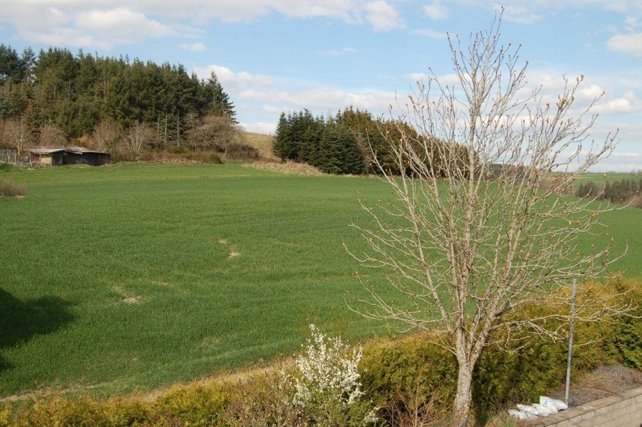 ..IN HERRLICHER ORTSRANDLAGE Einfamilienhaus Kaisersesch