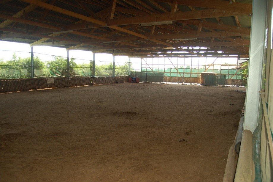 ..REITHALLE 20 X 40 m Bauernhaus Roes