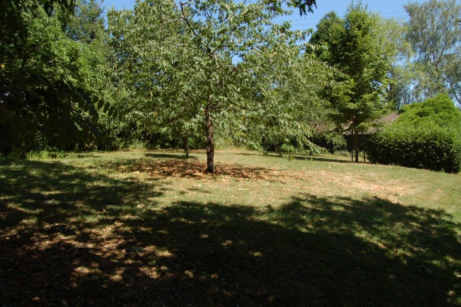..GARTEN MIT OBSTB�UMEN Einfamilienhaus Landkern
